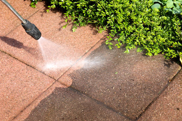 Best Exterior Home Cleaning  in Westview, FL